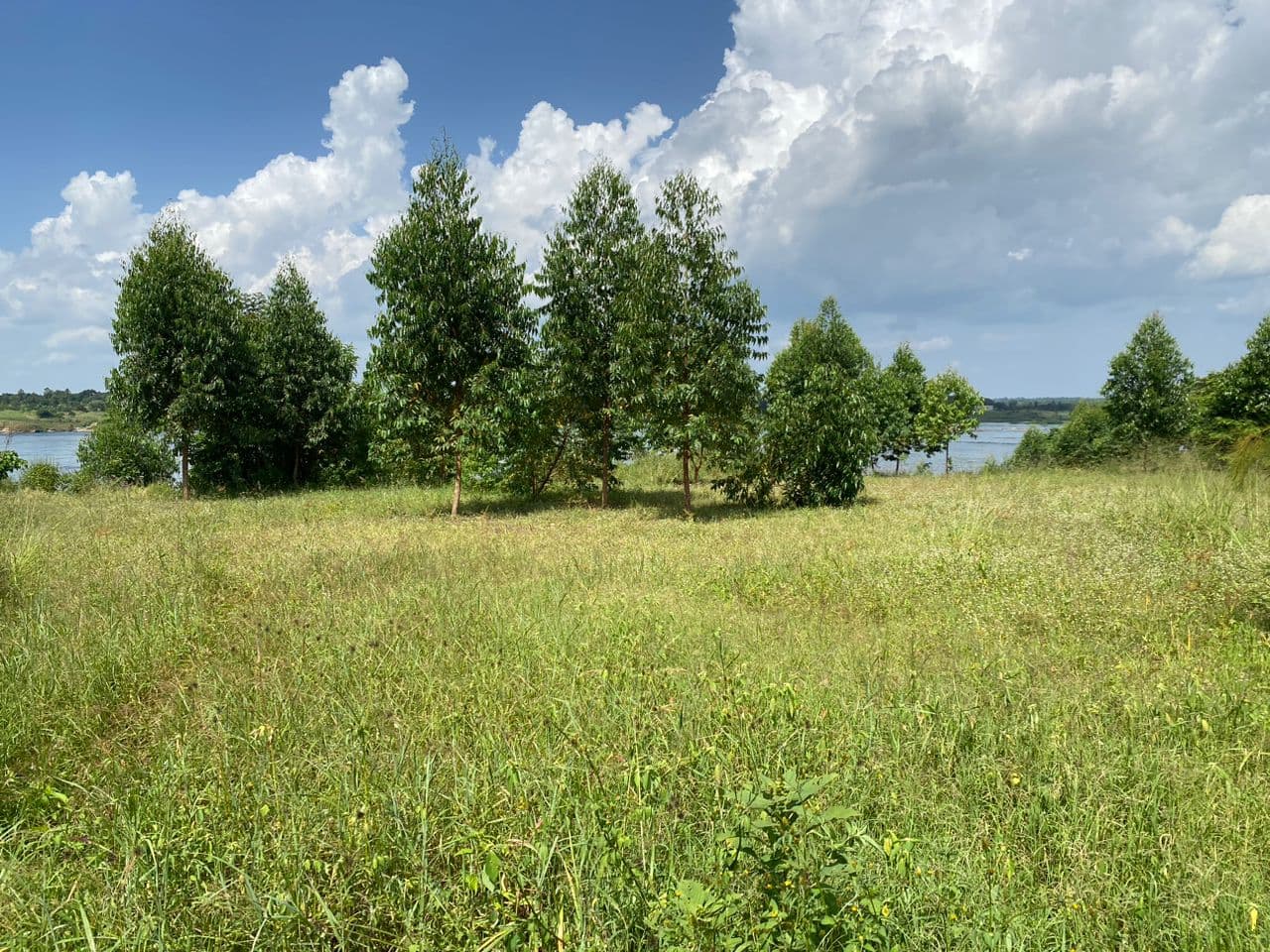 2 acres gallery 2
