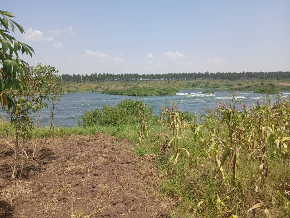 4.7 Acres  main view